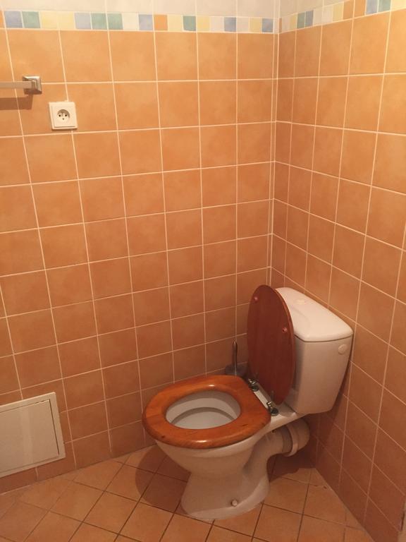 Apartments At The Golden Plough Prag Rum bild